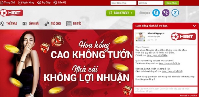 Hỗ trợ người chơi mọi lúc mọi nơi