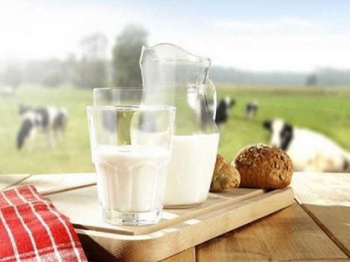 Mơ thấy sữa, kết quả xổ số miền bắc sẽ là con số nào