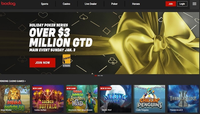 Bodog thường xuyên tung ra các ưu đãi hấp dẫn tri ân người chơi